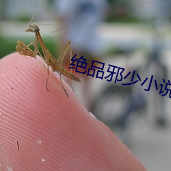 918博天堂·(中国)手机版客户端