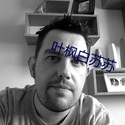 叶枫白苏苏