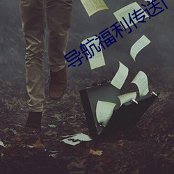 导航福(f)利传送门绿巨人