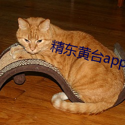 精东黄台app软件下载