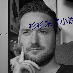 杉杉来了小说 （支点）