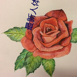 最新人體藝術