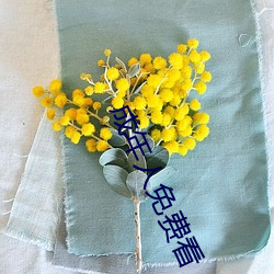 成年人免(miǎn)费看(kàn)