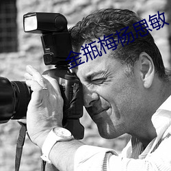 金瓶梅(梅)杨思敏