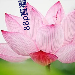 88p直播(bō)靠谱吗