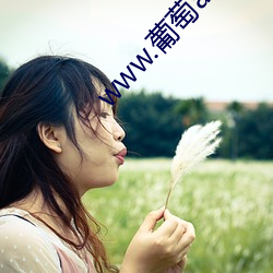 www.葡萄av.com