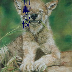 艾小青三亚