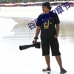 谷(gǔ)雨(yǔ)霞的章节(jié)