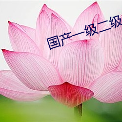 金年会(中国)官方网站