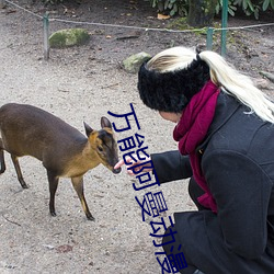 万能(néng)阿(ā)曼动漫(màn)