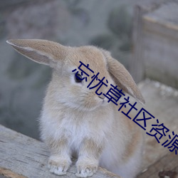 忘忧草社区资源