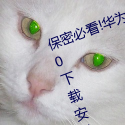 保密必看!华为会监(jiān)控黄色(sè)手机v3.3.0下载安装?这里有答案!