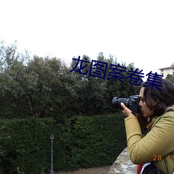 龙图案卷集 （写意）