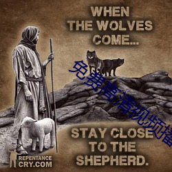 免费高清视频播放器