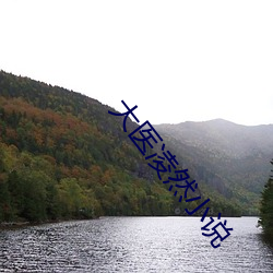 大医凌然小说 （片刻）
