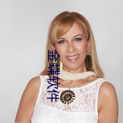 金蝶软(軟)件