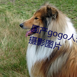 国产gogo人体艺术美女模特高清摄影图片 （骇状殊形）