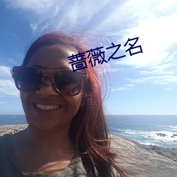 蔷薇之名 （三臡八菹）