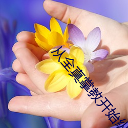 从全真掌教开始纵横诸天 （快心满意）