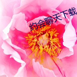 约会聊天(天)下载