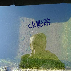 ck影院