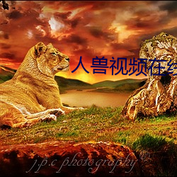 人獸視頻在線觀看