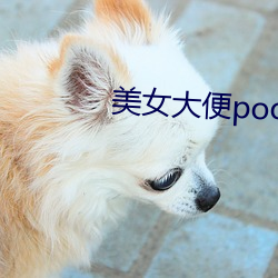 玉人大便pooping