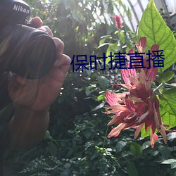 保时捷直播