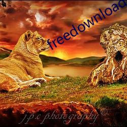 freedownloadmanager