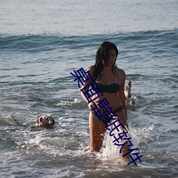 桌面壁纸软件