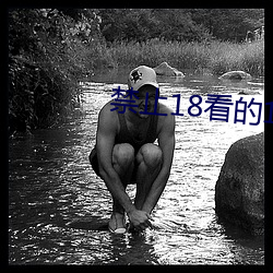 禁止18看的100部芒果