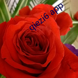 qiezi6 app