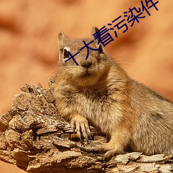suncitygroup太阳集团--官方网站