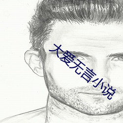 大爱无言小说 疔毒）
