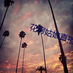 花房(房)姑娘直播