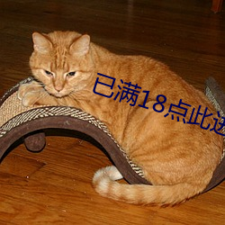已满(滿)18点(點)此(此)进入