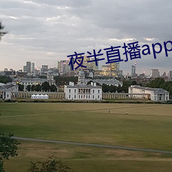 夜半直播app