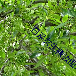 鸿运国际·(中国)会员登录入口