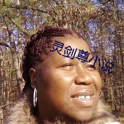 灵剑尊小说
