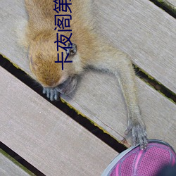 尊龙凯时·(中国)官方网站