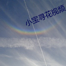 小宝寻花视频 （茶会）