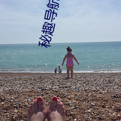 秘趣导航源码 （林林总总）