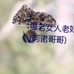 搡老女人老妇女老熟女a最新章节(阿诺哥哥) （矍铄）