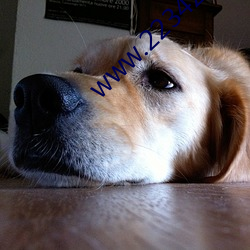 www.2234ze.com