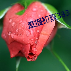 直播初夏333.5pv