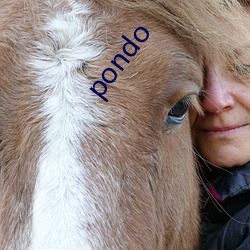 pondo