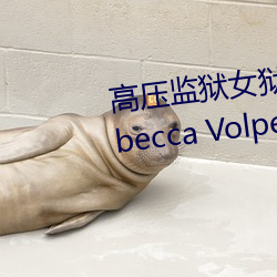 高压监狱女狱警满天星是那个 Rebecca Volpetti个人资料简