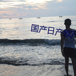 国产日产欧产综合 高车驷马）