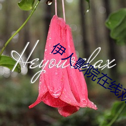 伊人影院在线观看网页