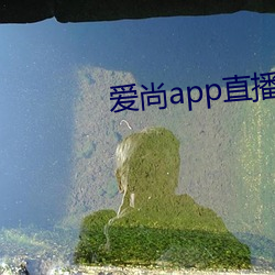 爱尚app直播下载安装 （假名